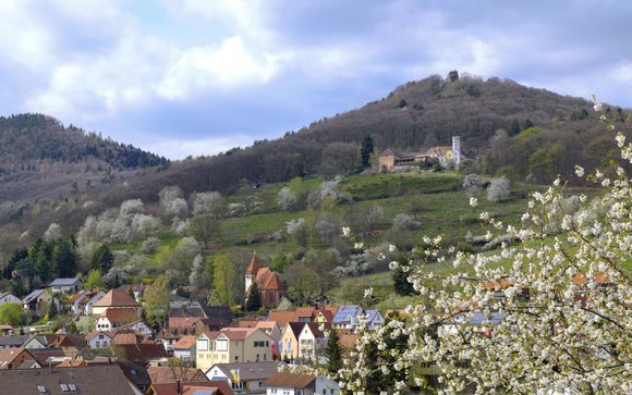 Willkommen in Leinsweiler