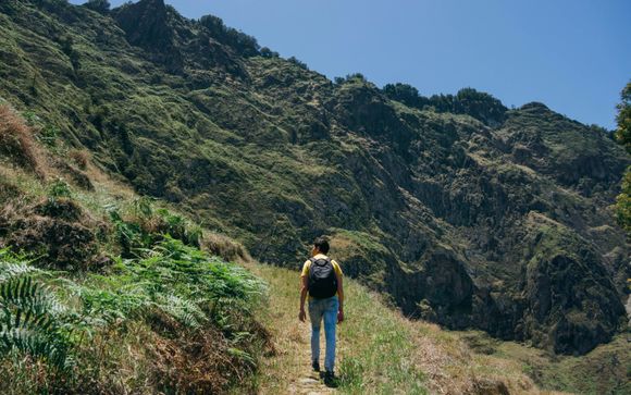 Ihre Ausflugsoptionen