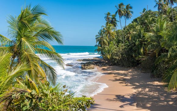 Ihre Ausflugsoptionen