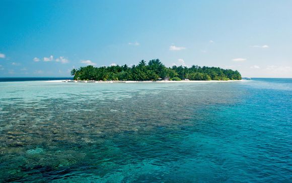 Ihre Kreuzfahrt im Detail