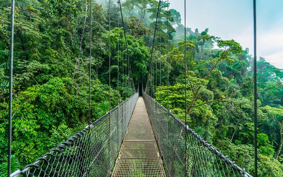 Ihre Reise im Detail