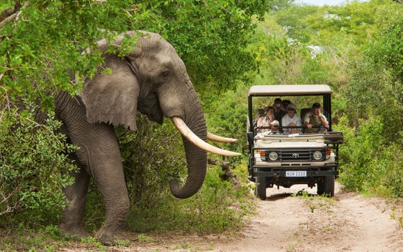 Willkommen in Südafrika und Mosambik