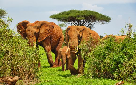 Ihre Safari im Überblick