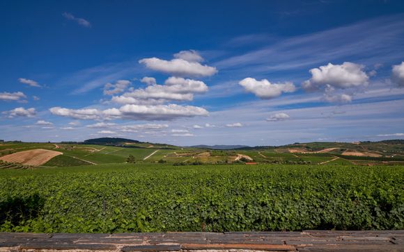 Ihre Ausflugsoptionen