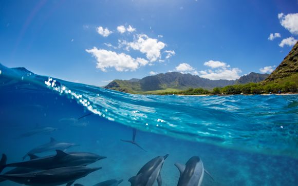 Mettez une option sur l