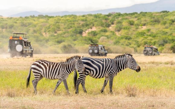 Ihre Safari im Detail