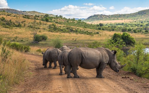 Ihre Ausflugsoptionen