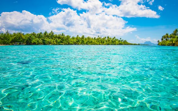 Im Angebot enthalten