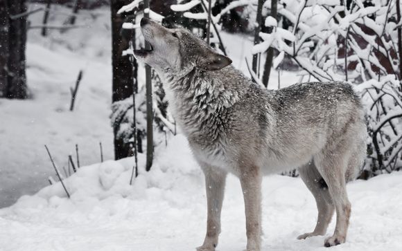 Ihre Rundreise im Detail