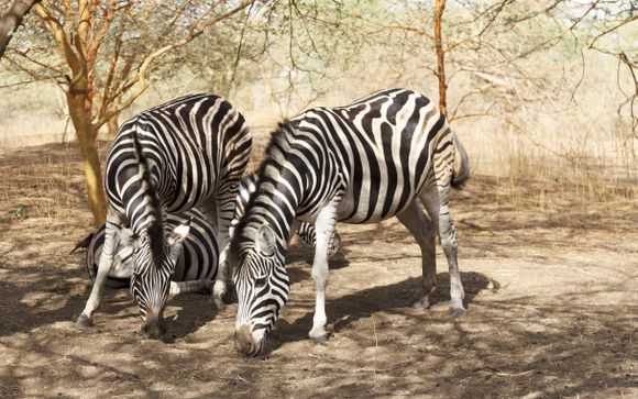 Mettez une option sur l