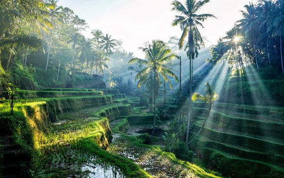 Willkommen auf Bali!