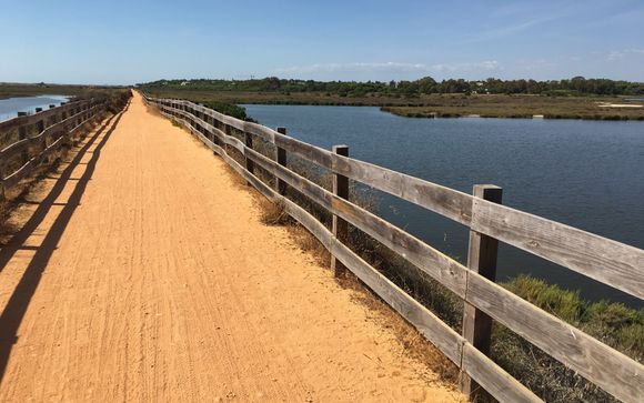 Ihre Ausflugsoptionen