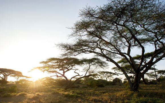 Ihre Rundreise im Detail