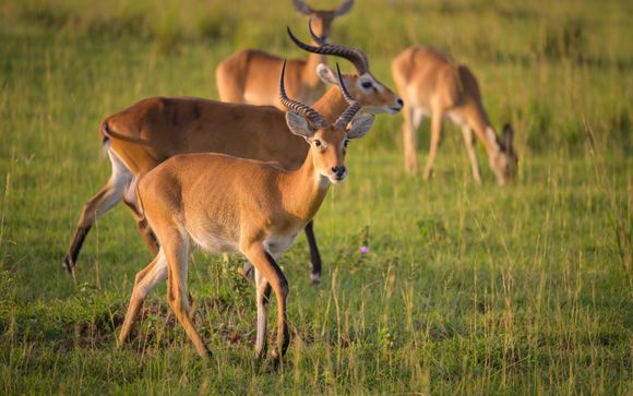 Ihre Rundreise im Detail