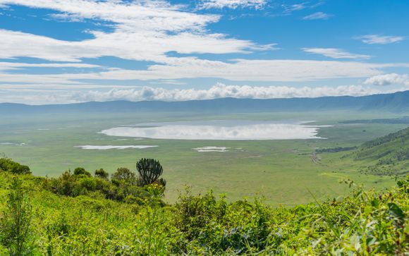 Ihre Safari im Detail