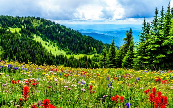 Ihre Rundreise im Detail