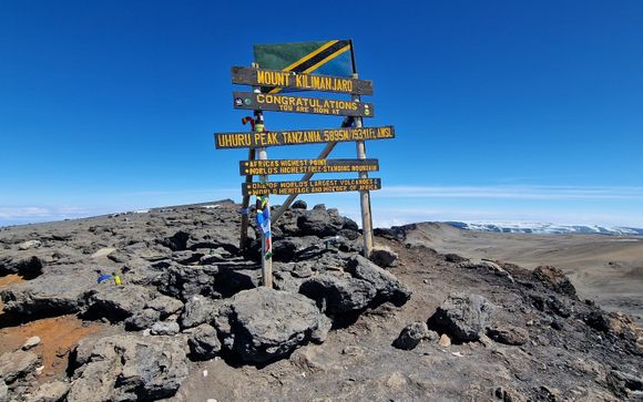 Ihre Reise im Detail