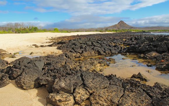 Ihre Kreuzfahrt im Detail