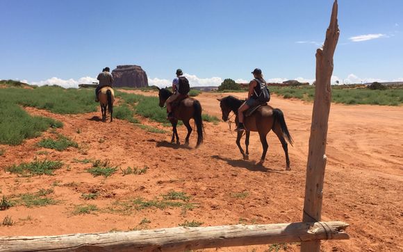 Ihre Ausflugsoptionen