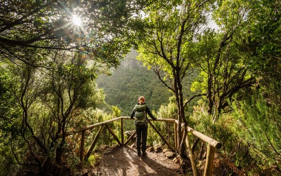 Ihre Ausflugsoptionen