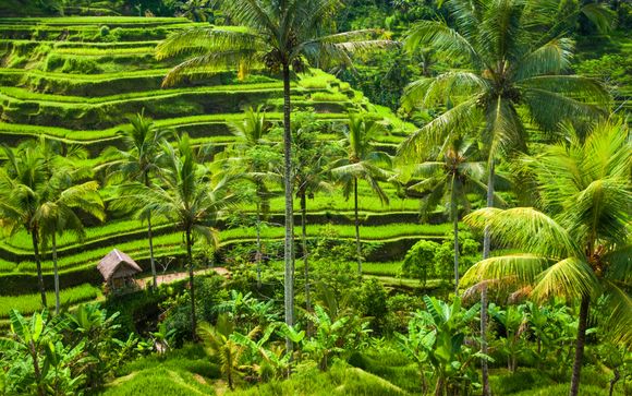 Ihre Rundreise im Detail