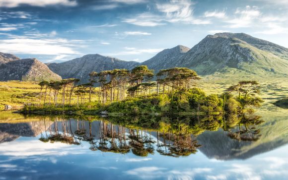 Ihre Rundreise im Detail