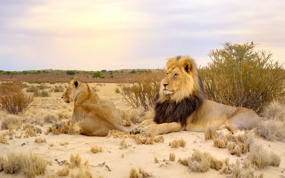 Ihre Reise im Überblick