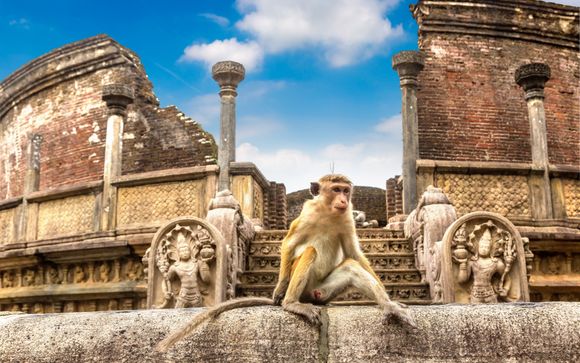 Ihre Ausflugsoptionen