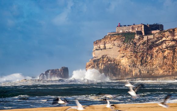 Ihre Autotour im Detail