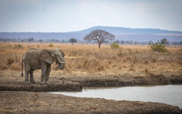 Ihre  Ausflugsoptionen