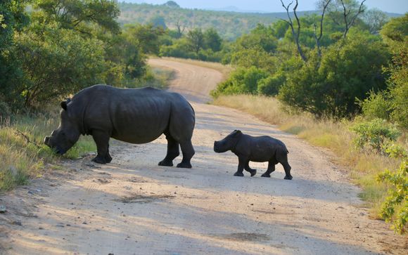 Programm in 7 Nächten