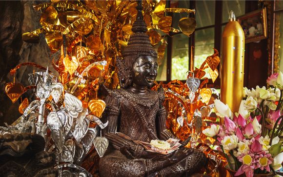 Ihre Ausflugsoptionen