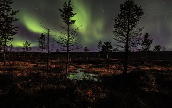 Ihre Ausflugsoptionen