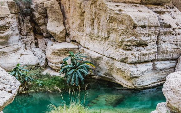 Tagesausflug zum Wadi Shab (inklusive Mittagessen)