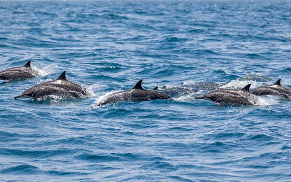 Für Aufenthalte ab 6 Nächten
