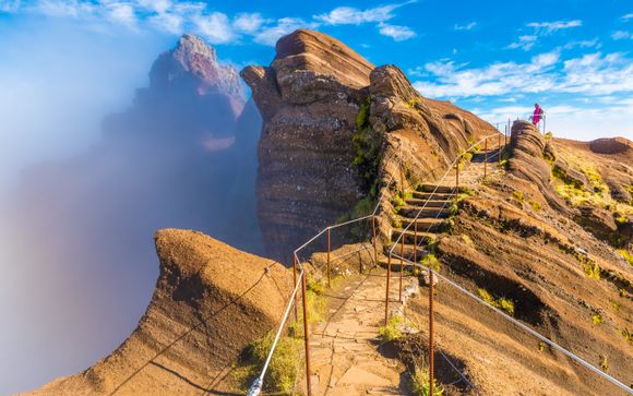 Mettez une option sur l