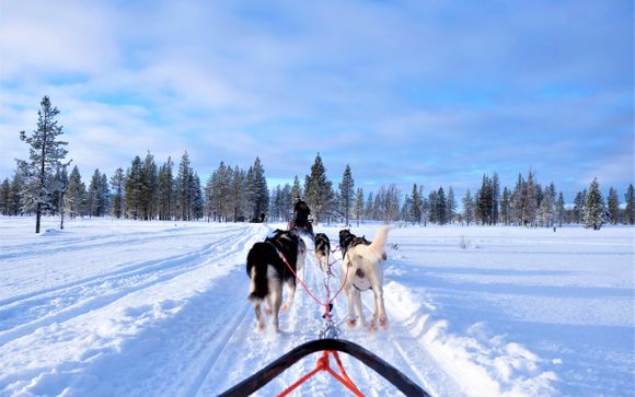 Im Angebot enthalten