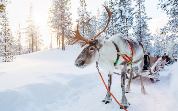 Ihre Ausflugsoptionen
