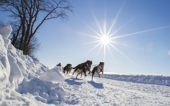 Ihre Ausflugsoptionen