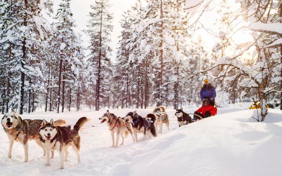 Ihre Reise im Detail