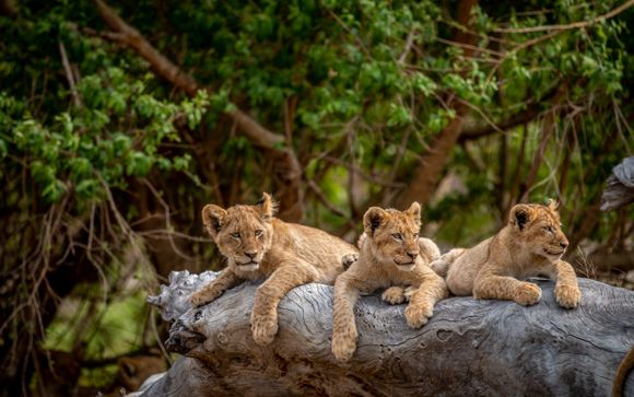 Rundreise in 7 Nächten