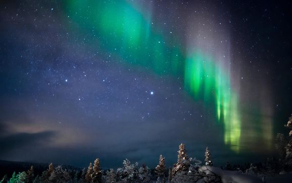 Ihre Ausflüge im Detail