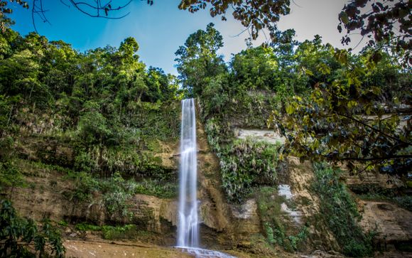 Ihre Reise im Detail