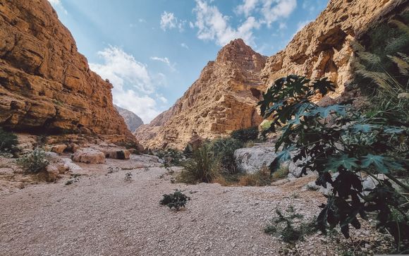 Im Angebot enthalten