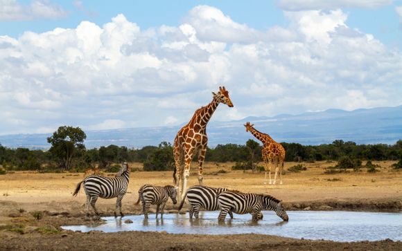 Ihre Reise im Detail