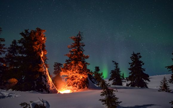 Ihre Reise im Detail