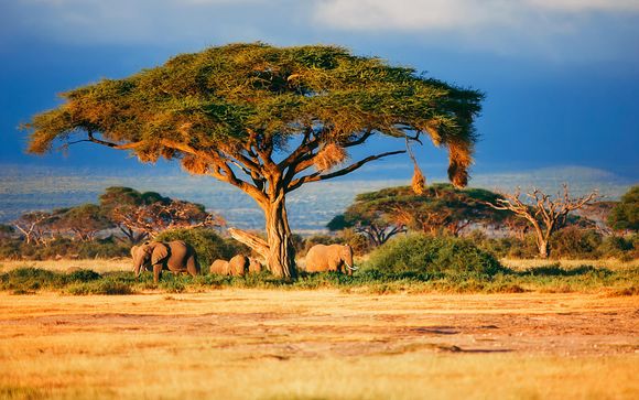 Ihre Safari im Überblick