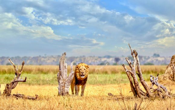 Ihre Rundreise im Überblick