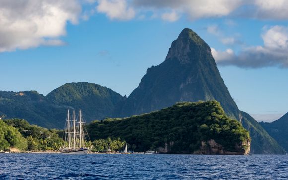 Zoom sur votre programme