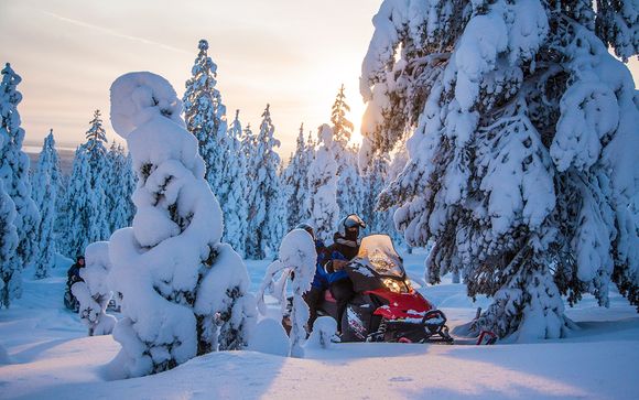 Ihr Programm im Detail